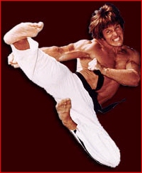 best karate fighter